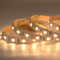 IP65 Silicon Tube Waterproof LED tape light SMD5050 14.4W/M LED strip